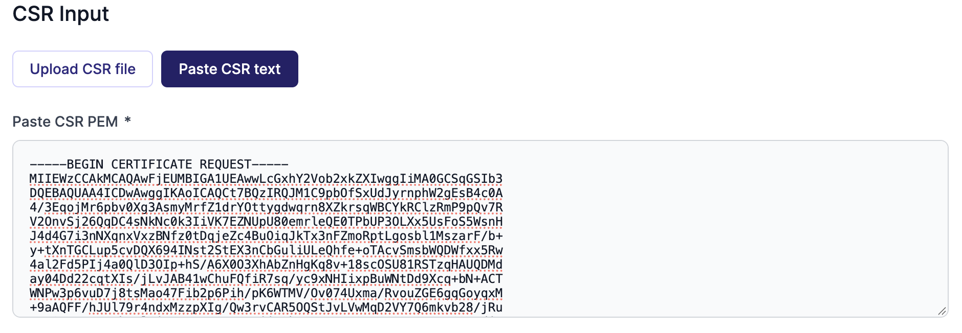 The CSR input with a CSR pasted in (the paste option selected)