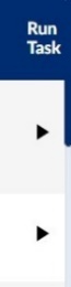 Run Task button