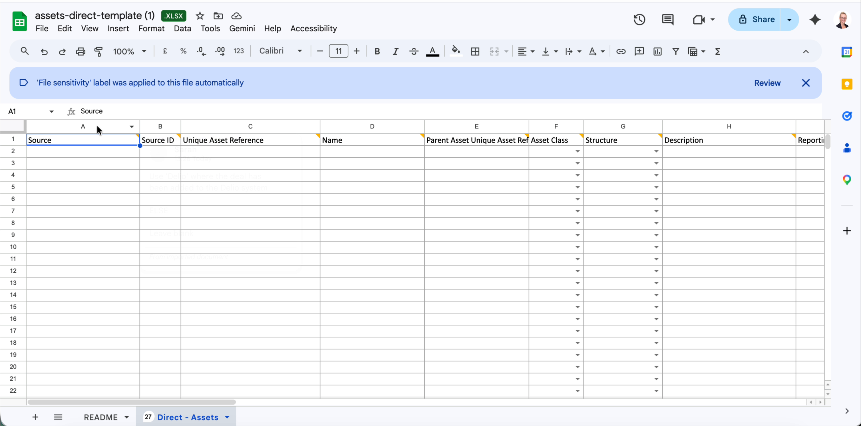Direct assets template showing the Direct - Assets sheet with columns Source through Reporting Currency
