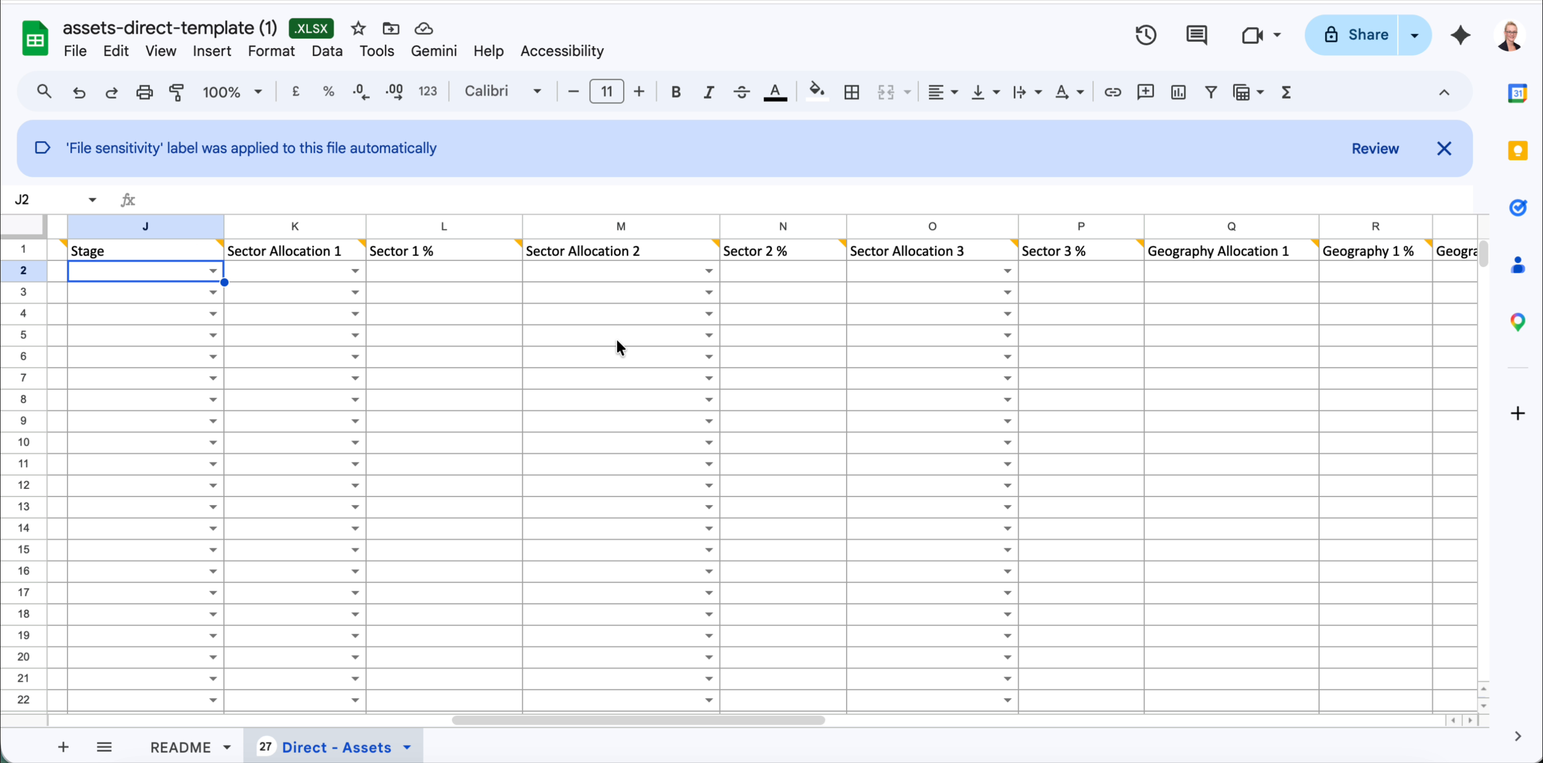Direct assets template showing Stage, Sector Allocation 1-3 and Sector percentage columns