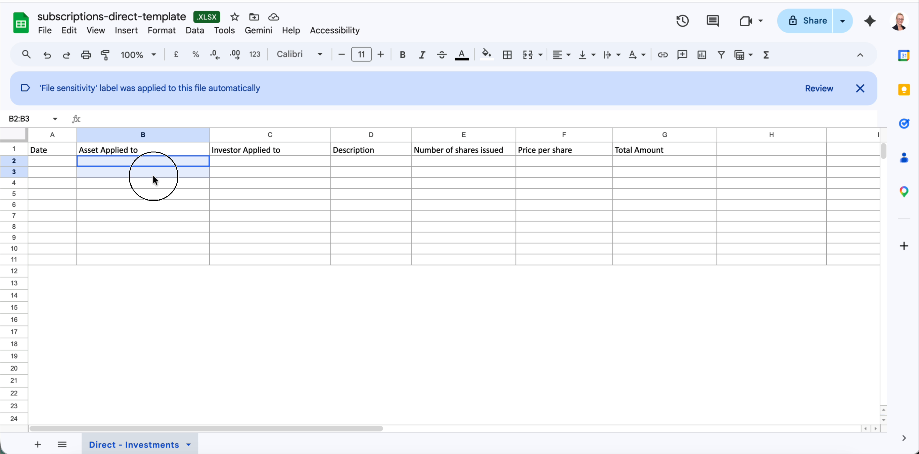 Direct subscriptions template showing columns A through G on the Direct - Investments sheet: Date, Asset Applied to, Investor Applied to, Description, Number of shares issued, Price per share, Total Amount