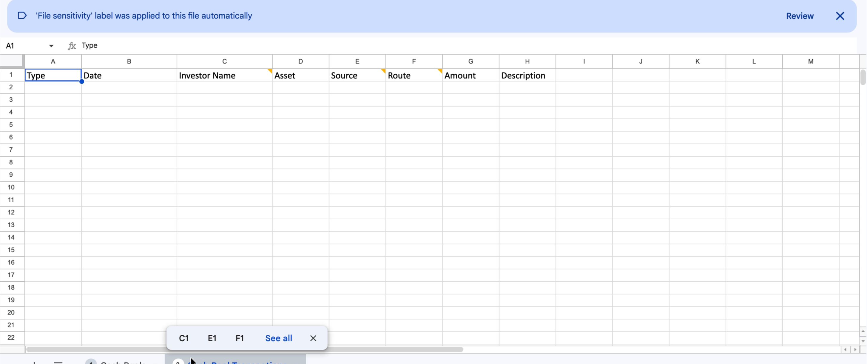Cash Pool Transactions sheet showing all column headers: Type, Date, Investor Name, Asset, Source, Route, Amount, Description