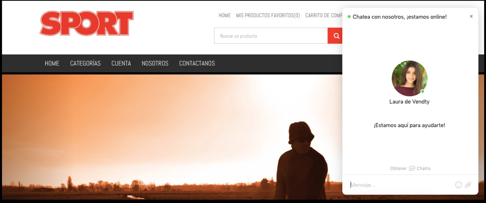 Chat tienda virtual Vendty