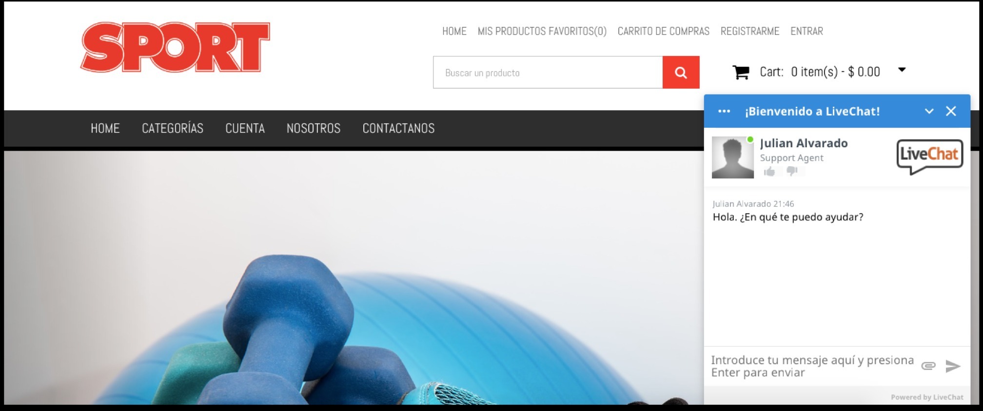 Chat tienda virtual Vendty