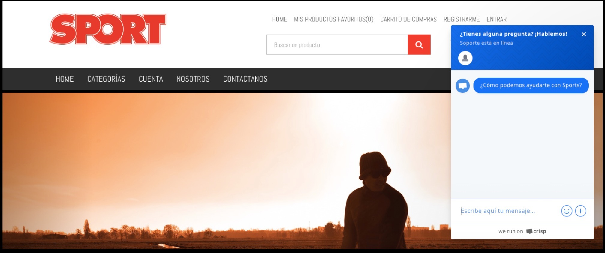 Chat tienda virtual Vendty