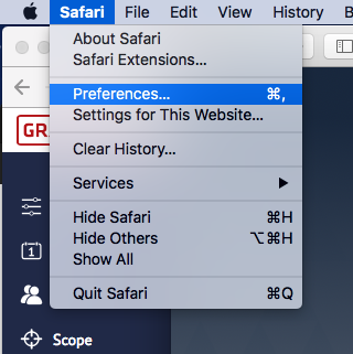 Safari browser settings window