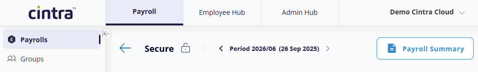 accessing payroll summary report