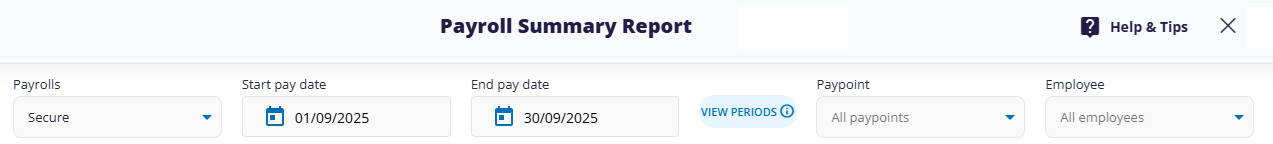 payroll summary report filters