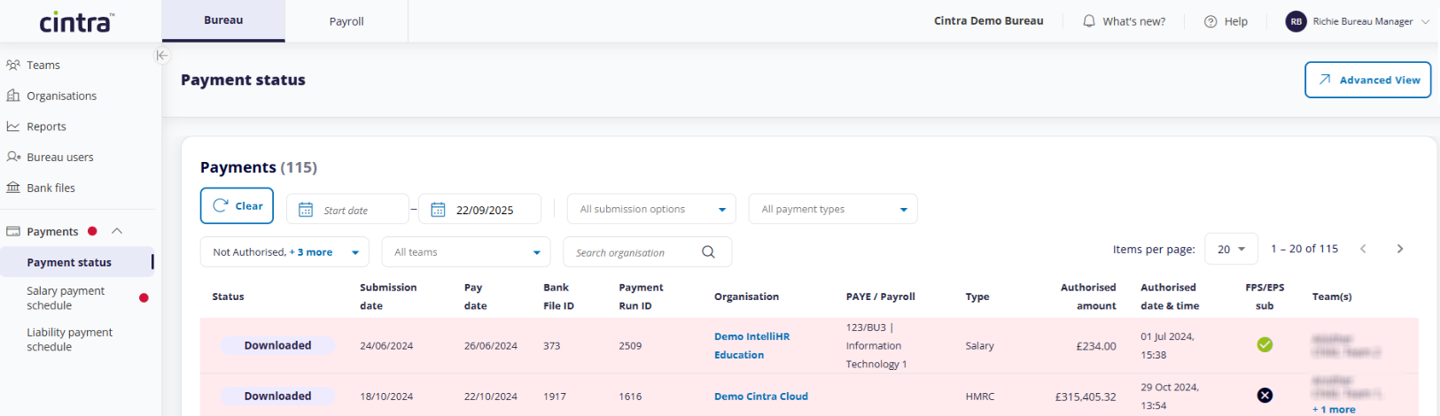 list of payment statuses