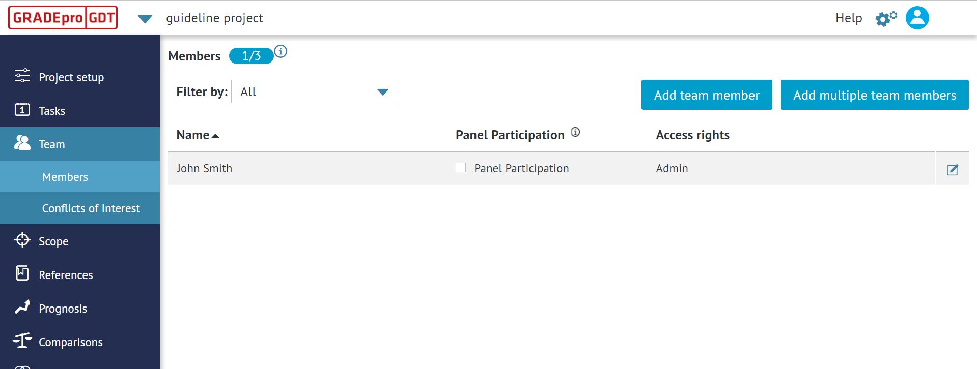 view of 'Team' tab, of the project presenting 'Members' section with name, panel participation and access right of team member
