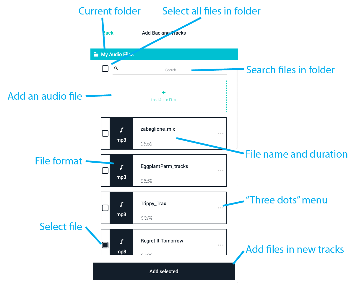 Figure 08 Add Backing Tracks panel