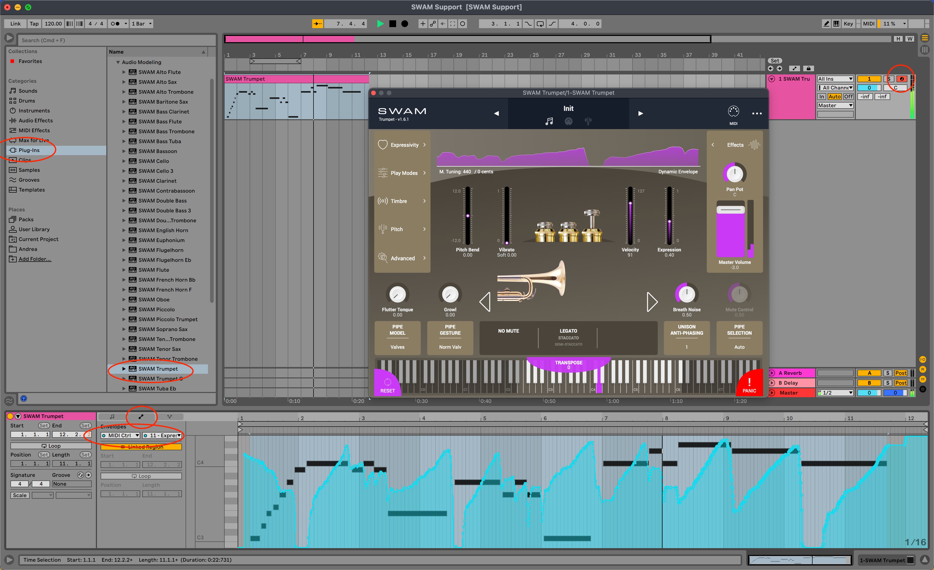 Adding, playing, and drawing SWAM instruments