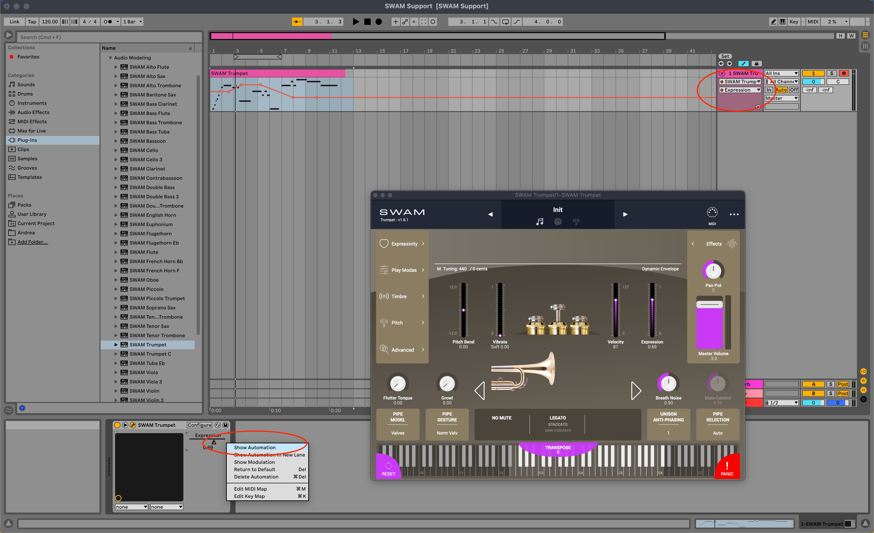 Show and draw automation