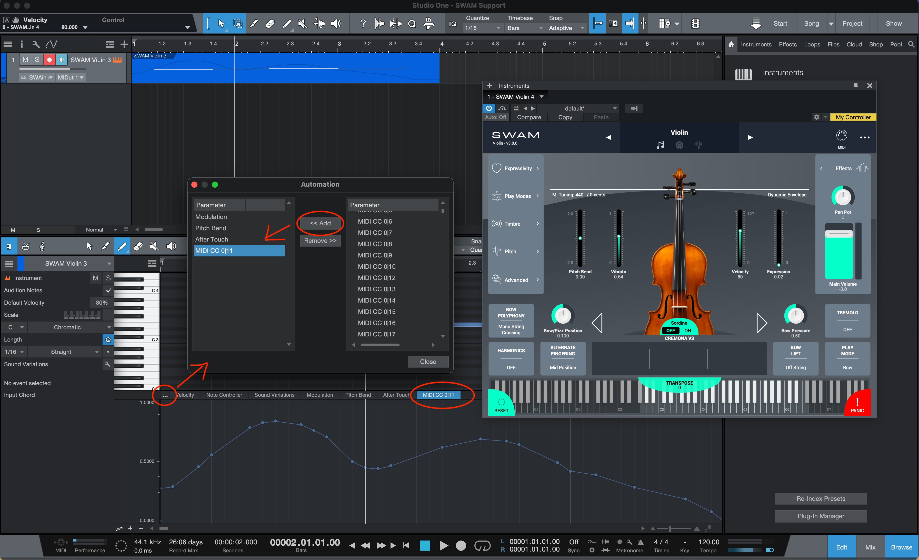 Draw CC11 Expression curve
