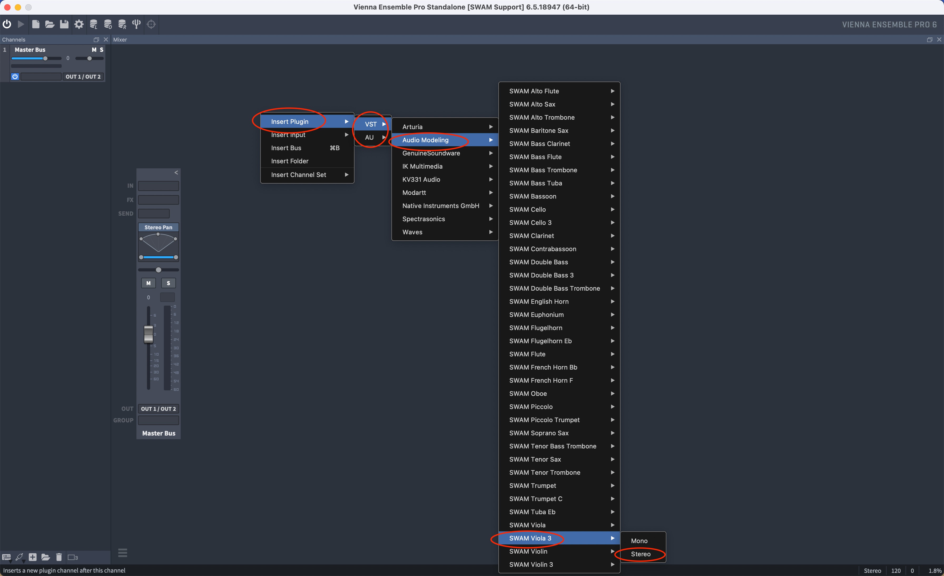 Insert SWAM instrument