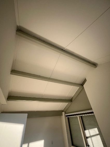 Afbeelding met muur, overdekt, gips, armatuur

Door AI gegenereerde inhoud is mogelijk onjuist.