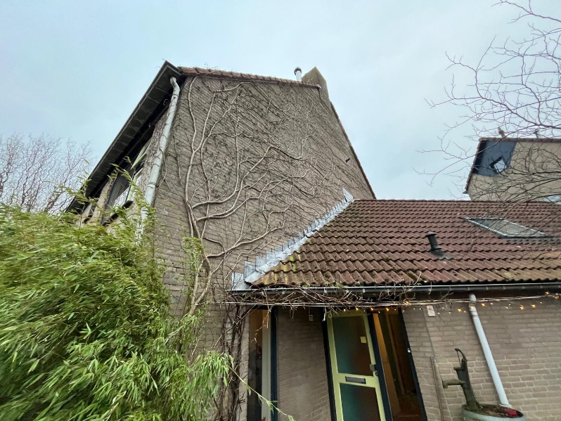 Afbeelding met gebouw, buitenshuis, dak, hemel
Door AI gegenereerde inhoud is mogelijk onjuist.