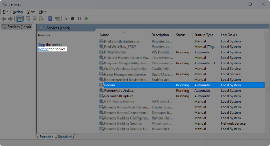 Restarting the Reemo service in the Services application