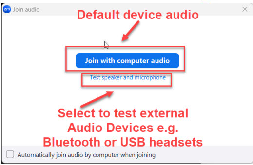 Screenshot: Join with computer audio
