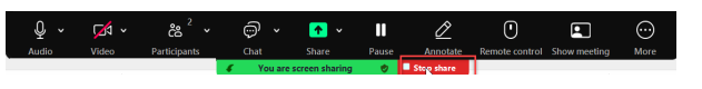 Screenshot: Stop Share button