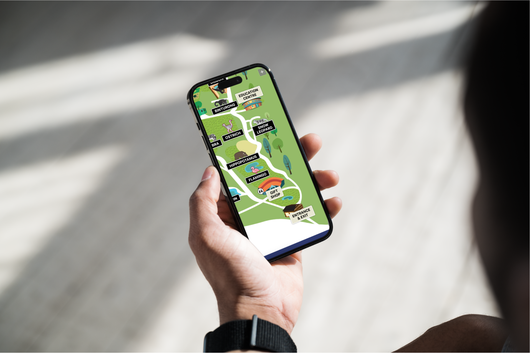 LOOP interactive map
