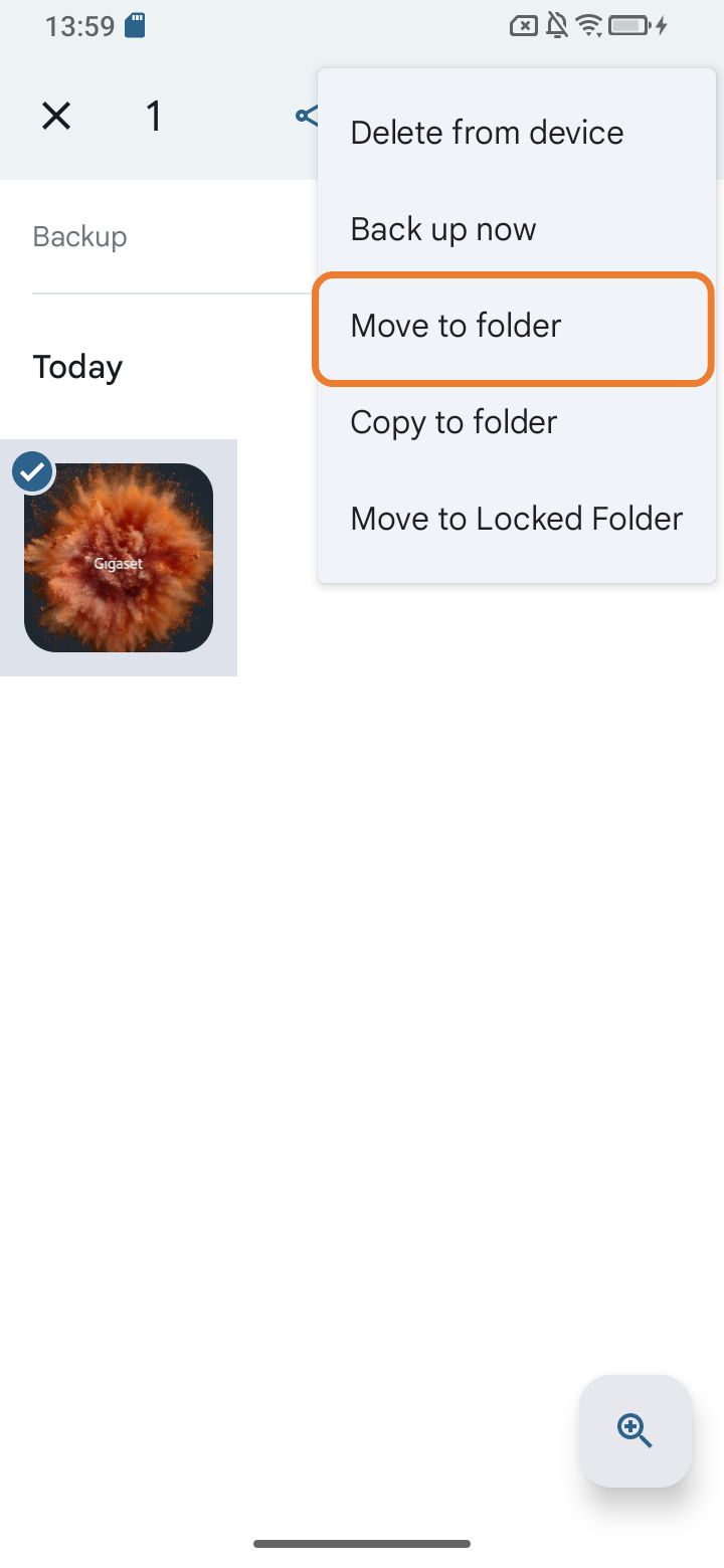 Screenshot of selected photo “Move to folder” selected