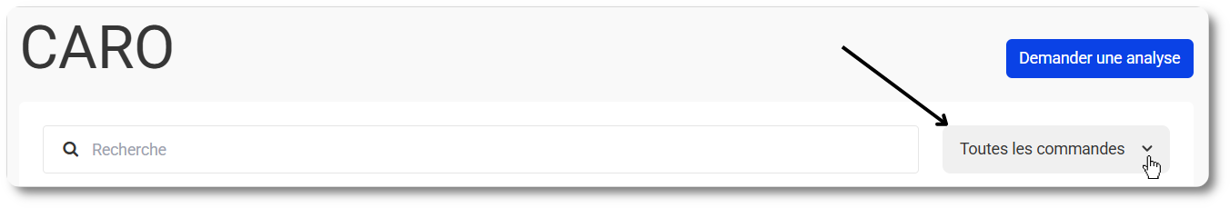 Filtrer les demandes CARO par statut
