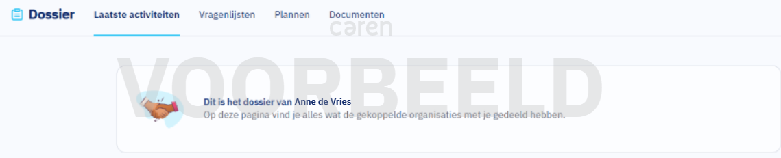 Overzicht met tabbladen bovenaan in het dossier