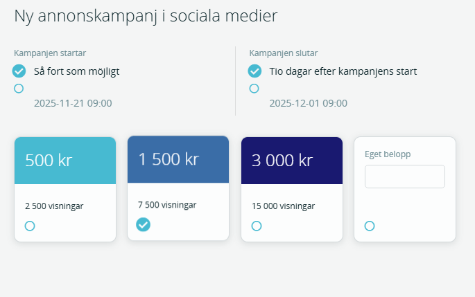 Bildtext: Gränssnittsvy över inställningarna för en annonskampanj i sociala medier.