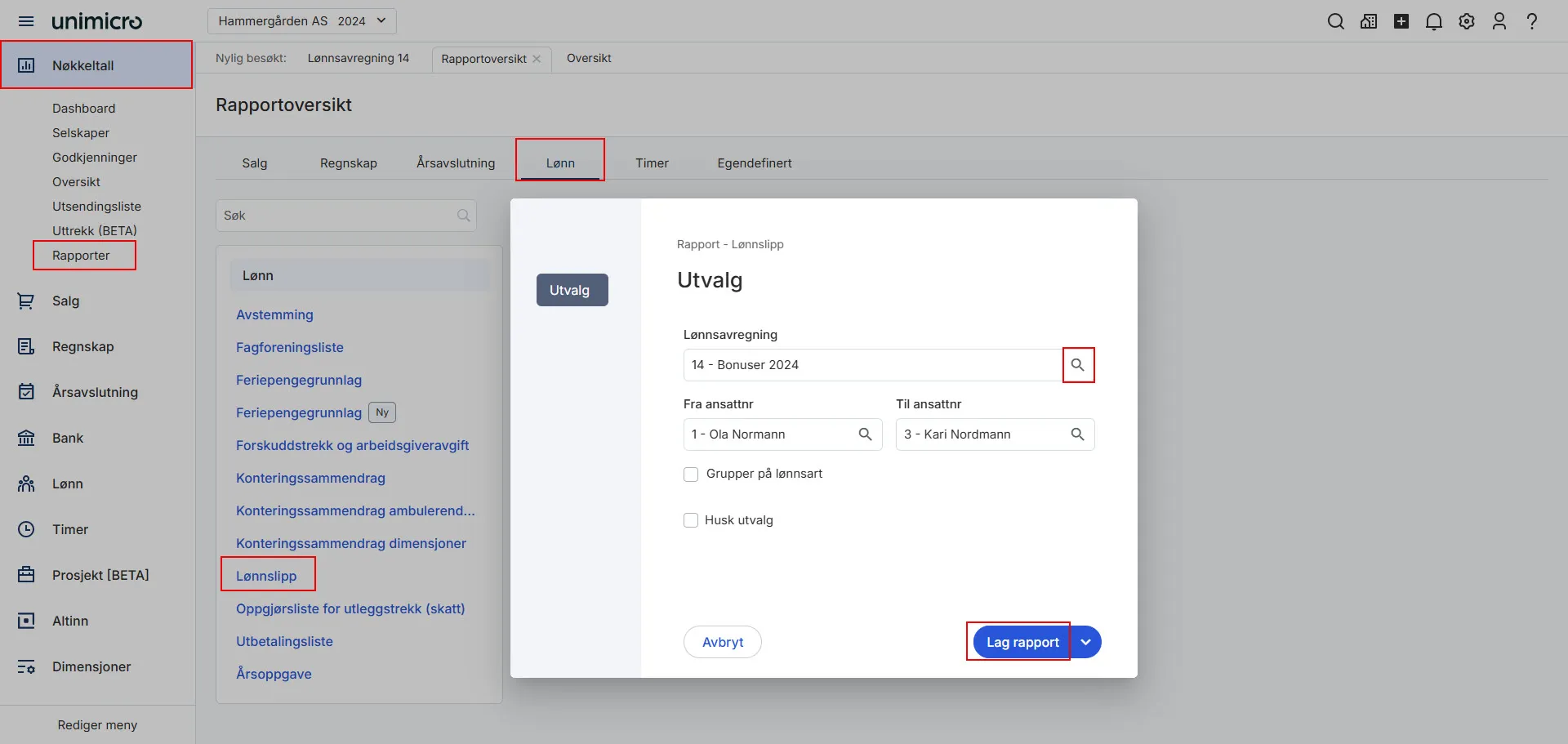 cs.oppsummering av lønnsposter.um.4.jpg