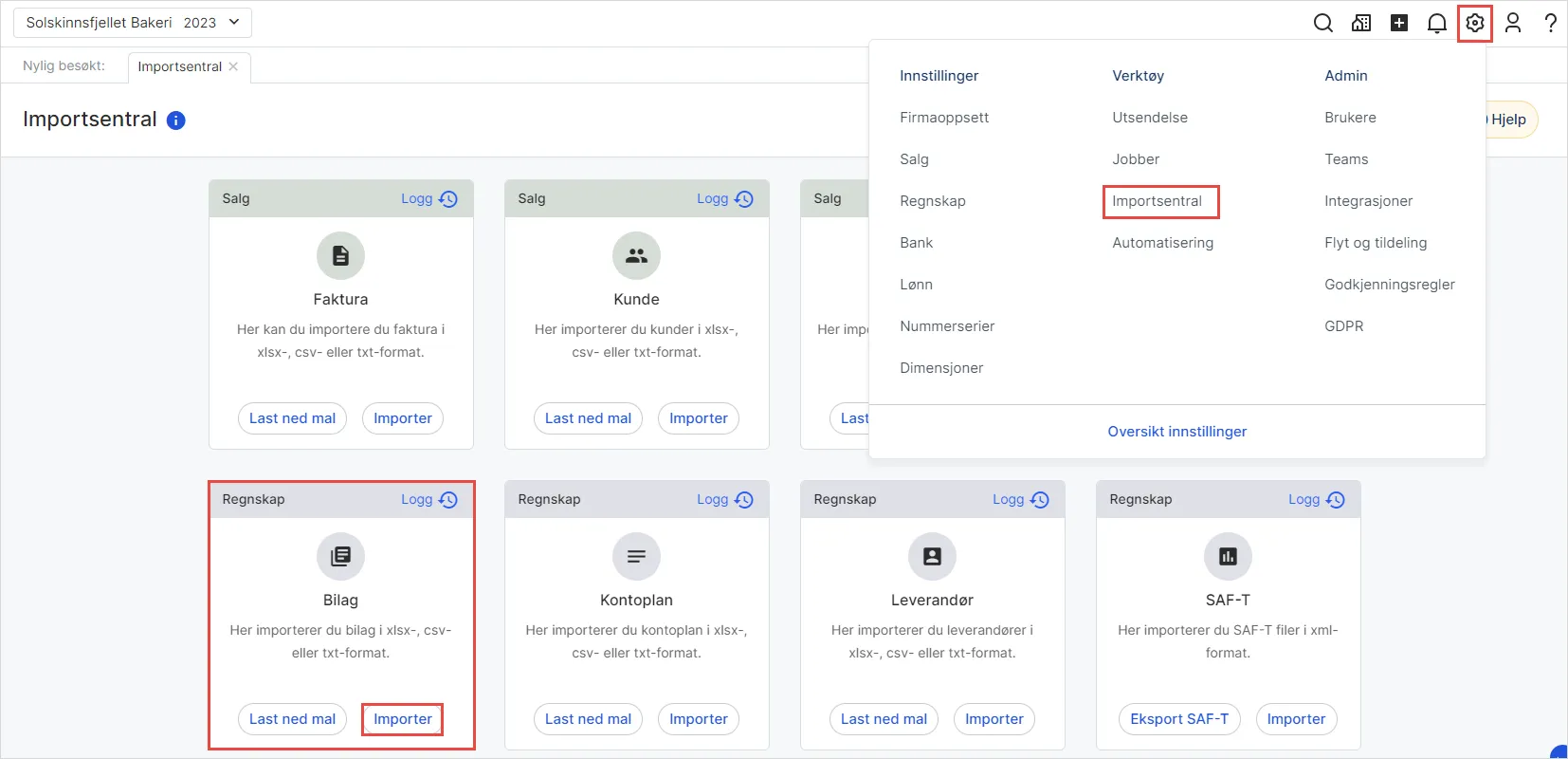 CS.Import Visma Business Format.UM.png