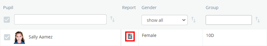 Class Charts sally individual report
