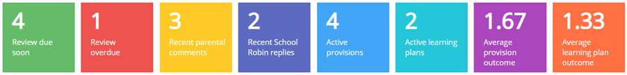 Provision Map pupil profile boxes