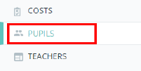 Provision Map pupils option
