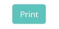 Provision Map print button