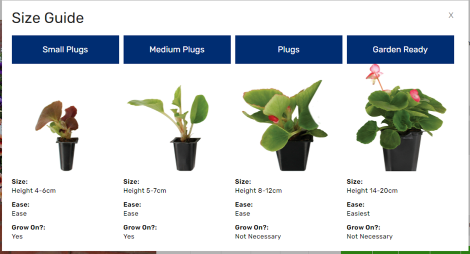 Plug plants