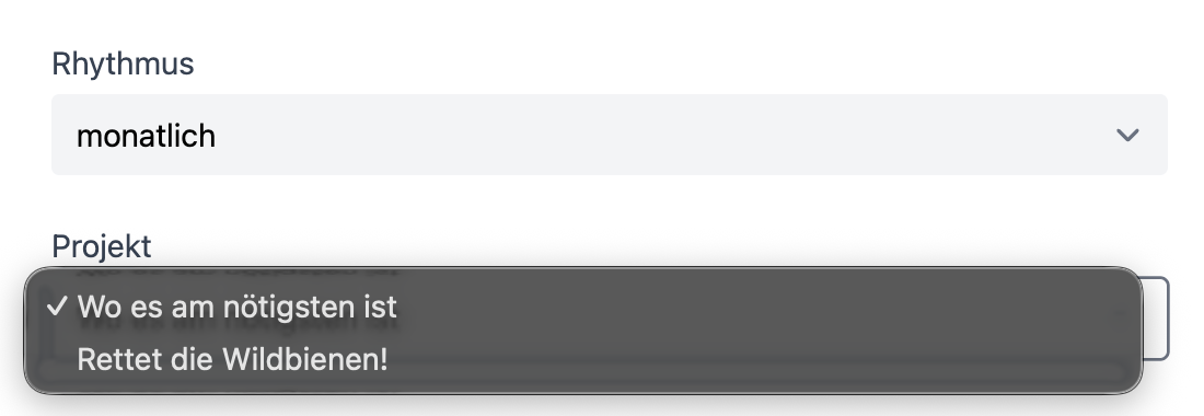 Screenshot: Spendenformular mit freiem Betrag, Rhythmus und Projektauswahl als Dropdown-Menü