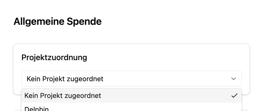 Screenshot: Projekt-Auswahl in den Express Formular-Einstellungen
