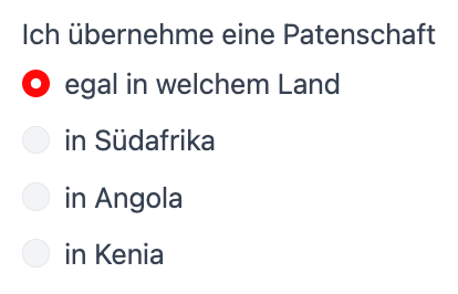 Screenshot: Radio-Button-Auswahl der Posten im Spendenformular