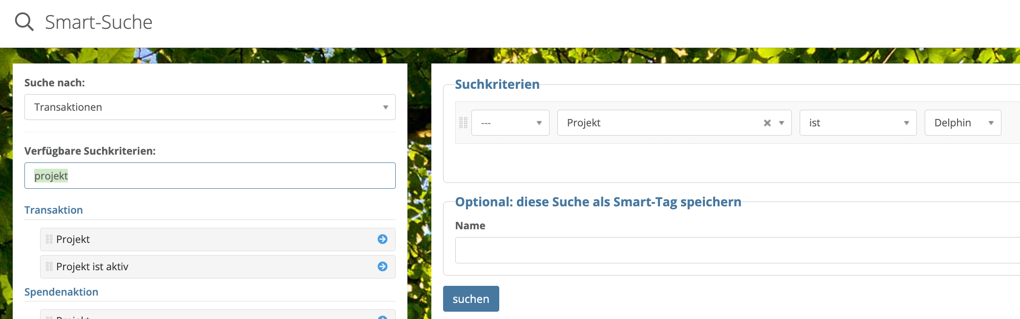 Screenshot einer einfachen Smart-Suche nach dem Projekt