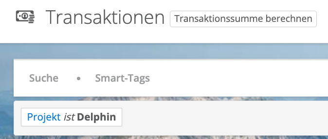 Screenshot einer einfachen Suche nach einem Projekt