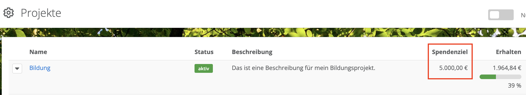 Screenshot: Projektübersicht mit hinterlegtem Spendenziel