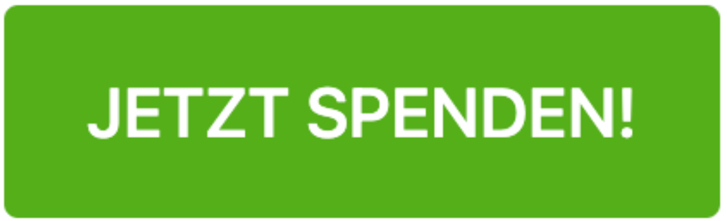 Screenshot des "Jetzt Spenden!" Buttons im Formular