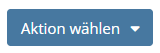 Screenshot des Buttons Aktion wählen
