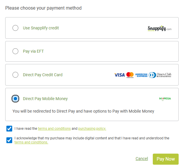 Payment screen with various pay options and the terms and conditions ticked