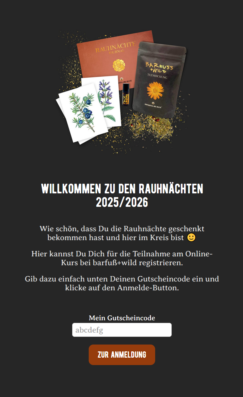 Ansicht der Webseite zur Code-Eingabe