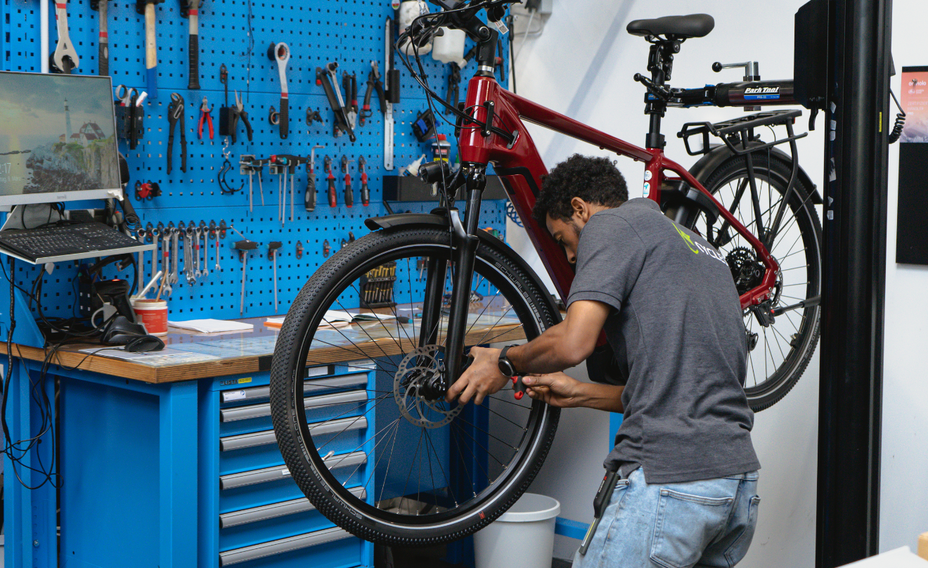 Schritt 2: Diagnose beim Händler