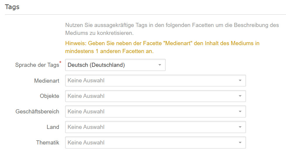 Bereich Tags mit Beispieltags im Medienformular