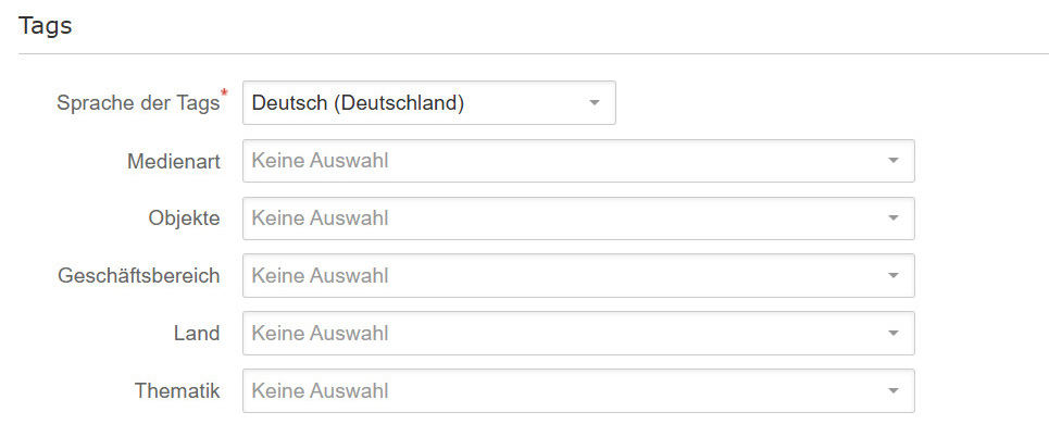 Tags section with sample tags in the Media Form