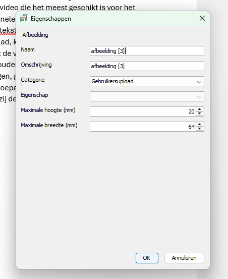 Window for defining an image with category set to User upload